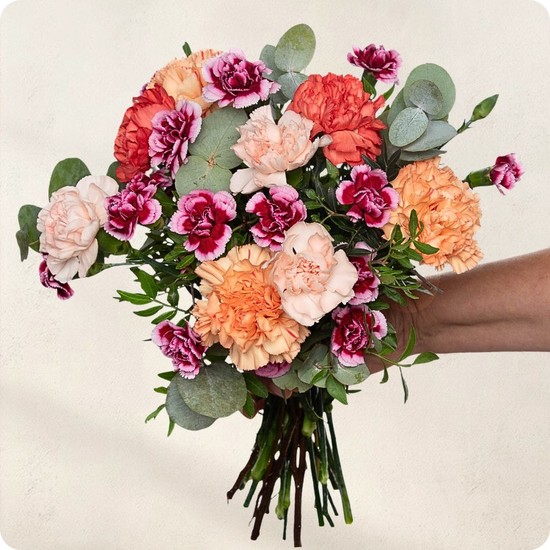 Bouquet Camaïeu d'œillets - 123fleurs - Livraison aujourd'hui