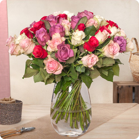 Jolies roses dans un camaïeu de roses