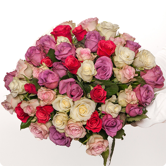Jolies roses dans un camaïeu de roses