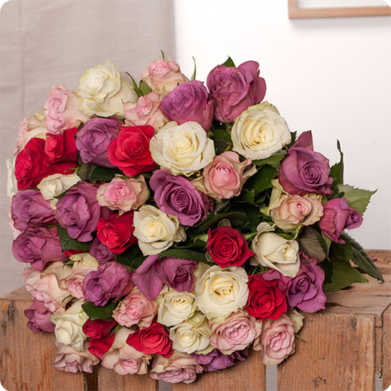Jolies roses dans un camaïeu de roses