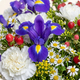 Bouquet Campagne