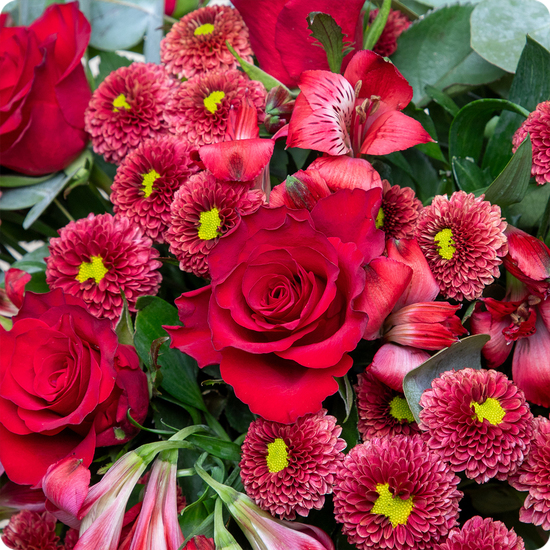 Un bouquet rouge intense aux roses éclatantes, parfait pour Noël.