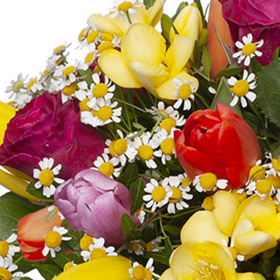 Bouquet chanson
