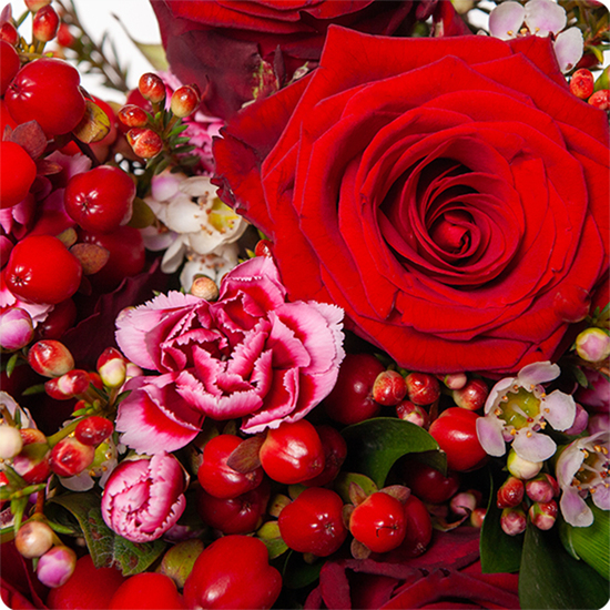 Bouquet Charme de Noël avec des roses rouges intenses et du wax blanc