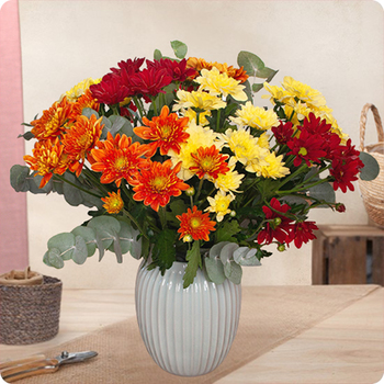 Bouquet Coco avec des chrysanthèmes colorés