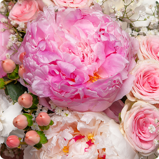Bouquet Cœur de Pivoines - Livraison artisanale express avec 123fleurs