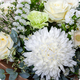 Bouquet condoléances en blanc et vert – 123fleurs – Livraison aujourd’hui