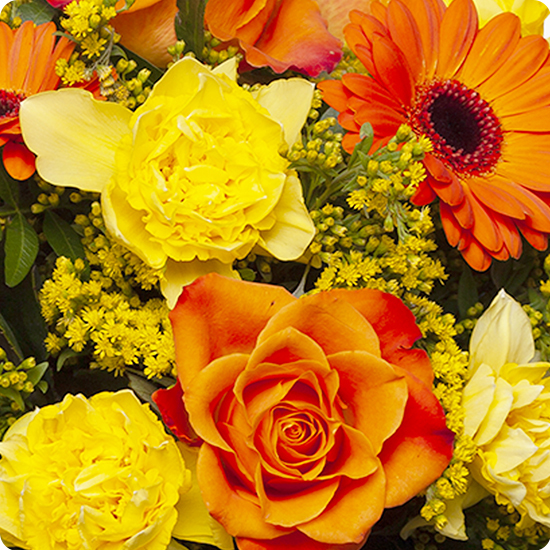 Bouquet Coqueline 