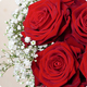 Bouquet Coup de foudre en roses rouges et gypsophiles. Livraison rapide et soignée avec 123fleurs