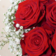 Bouquet Coup de foudre en roses rouges et gypsophiles. Livraison rapide et soignée avec 123fleurs.