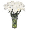 Bouquet d'œillets blancs