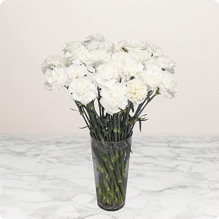Bouquet d'œillets blancs pour deuil