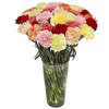 Bouquet d'œillets colorés