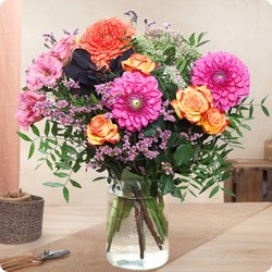Bouquet Dahlia