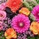 Bouquet de dahlias fuchsia et corail avec roses bicolores, lisianthus et limonium