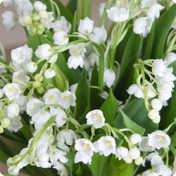 Bouquet 100% muguet