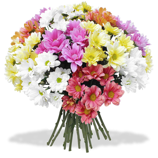 Commandez un Bouquet Hommage chatoyant