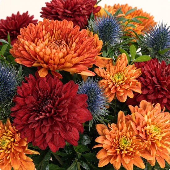 Bouquet de fleurs Mexico  avec des varétés de chrysanthèmes