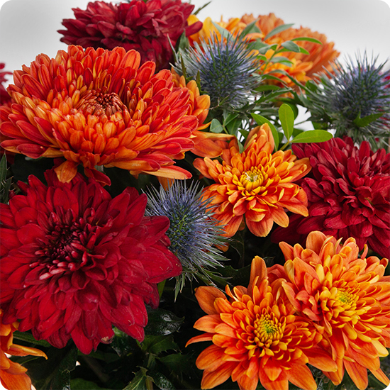 Bouquet de fleurs Mexico  avec des varétés de chrysanthèmes