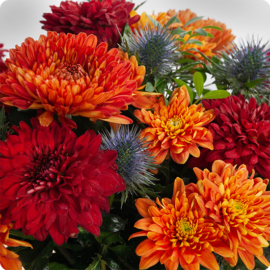 Bouquet de fleurs Mexico  avec des varétés de chrysanthèmes