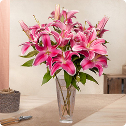 Bouquet de Lys roses