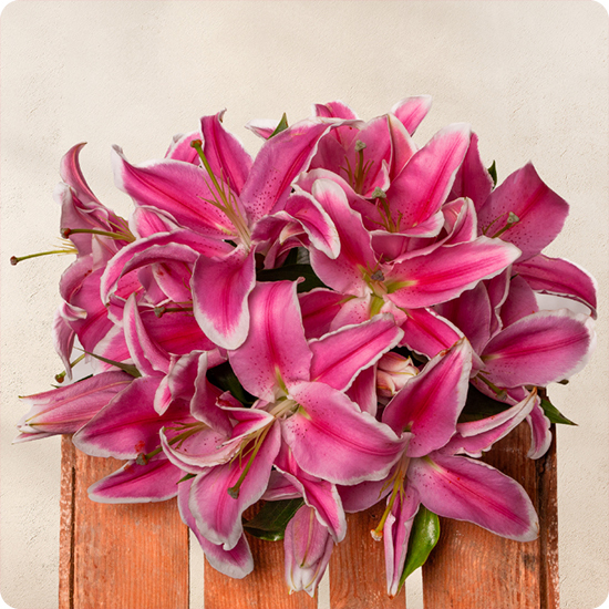 Élégance et raffinement avec un bouquet de lys roses