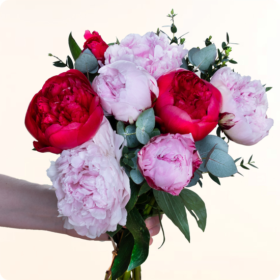 Réalisé par un artisan fleuriste avec des fleurs fraîches et de saison, ce bouquet est disponible en livraison rapide partout en France, même le jour même.