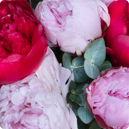 Réalisé par un artisan fleuriste avec des fleurs fraîches et de saison, ce bouquet est disponible en livraison rapide partout en France, même le jour même.