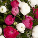 bouquet de renoncules