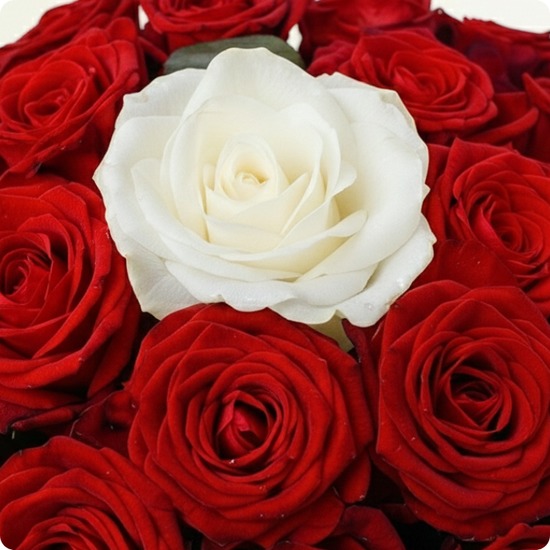 Bouquet de roses Amour Passion