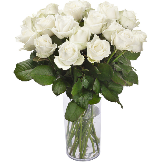Bouquet de roses blanches à l'unité - Livraison à fleurs | 123Fleurs