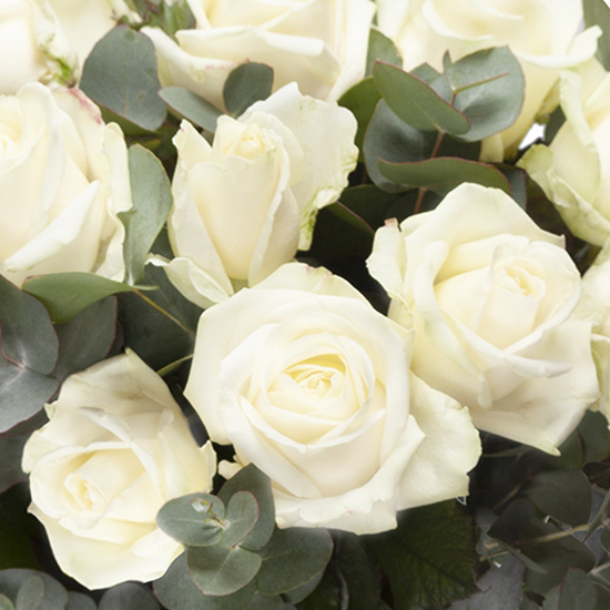 Bouquet de roses blanches 