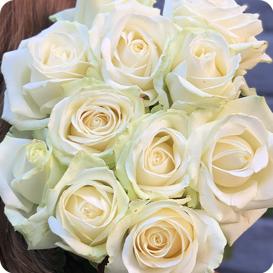 Bouquet de roses blanches