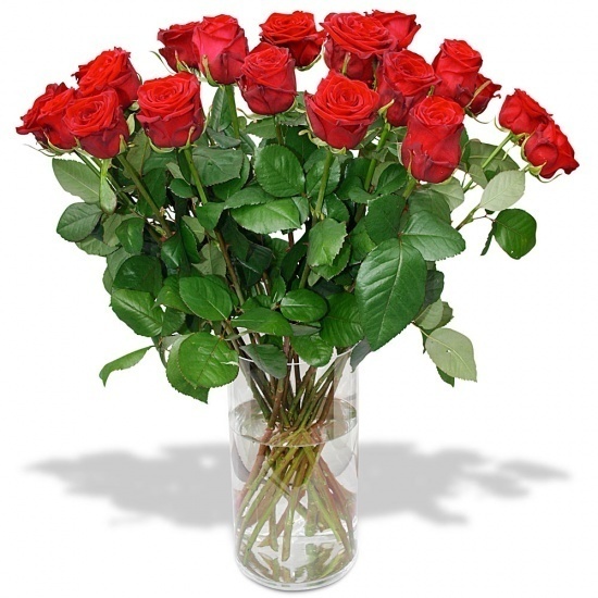 Offer Time Estate Roses rouges à la tige - Livraison de roses | 123Fleurs