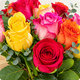 Bouquet de roses multicolores - 123fleurs