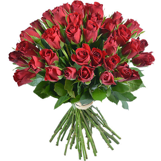 offrez un Bouquet de roses rouges