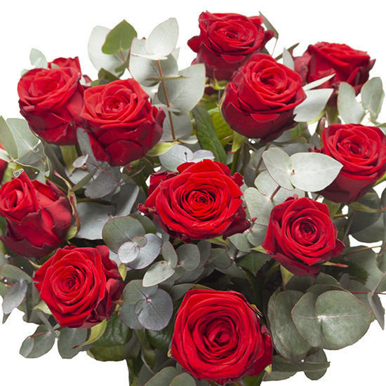Bouquet de roses rouges