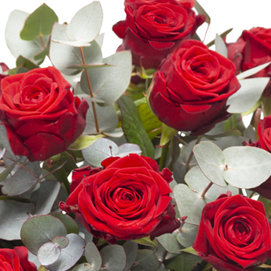 Bouquet de roses rouges