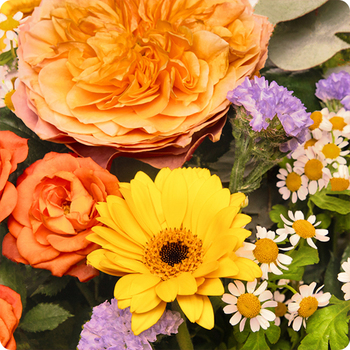 Bouquet de fleurs fraiches livrées aujourd'hui