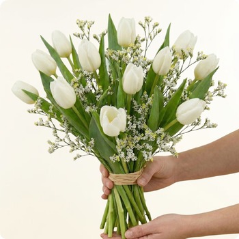 Bouquet simple de tulipes blanches avec feuillage et petites fleurs blanches