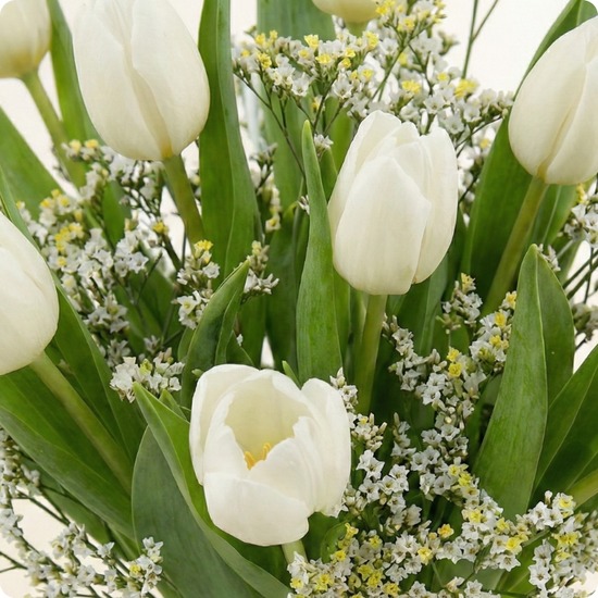Bouquet simple de tulipes blanches avec feuillage et petites fleurs blanches