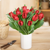 Bouquet de tulipes dentelle couleur rouge 