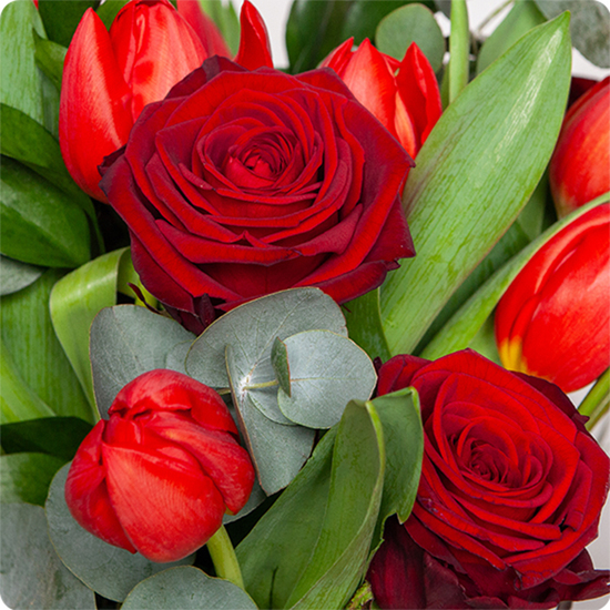Bouquet Douceur de tulipes et roses aux teintes rouges