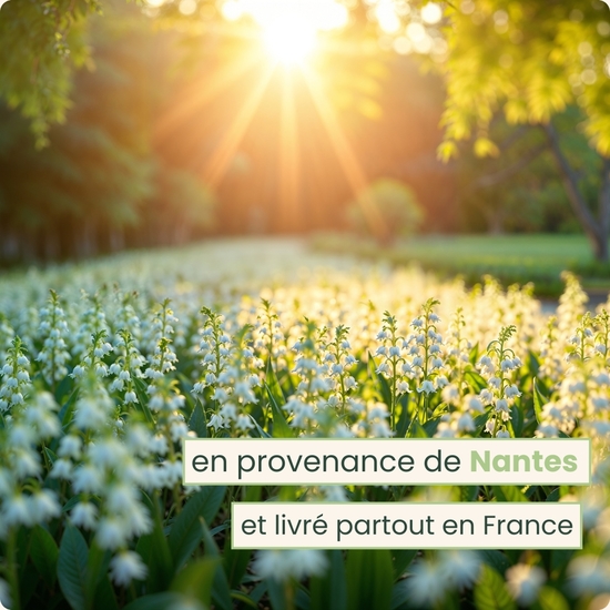 Bouquet du fleuriste 1er mai