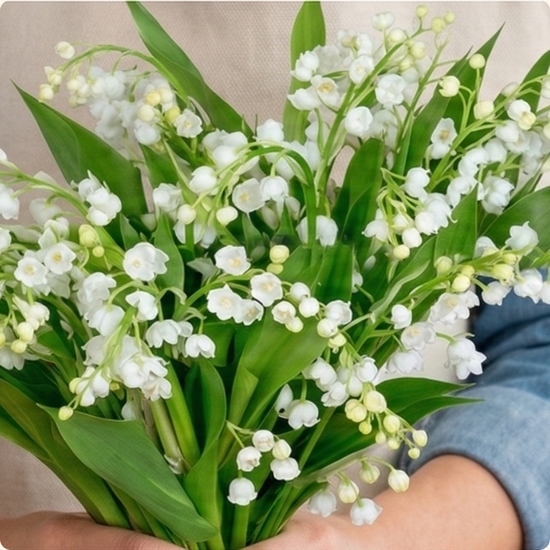 Bouquet du fleuriste 1er mai