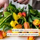 Bouquet du fleuriste avec de la tulipe
