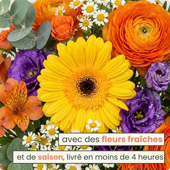 Une explosion de gaieté florale