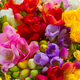 Bouquet du fleuriste avec des fleurs colorées