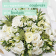 bouquet du fleuriste blanc spécial FDM
