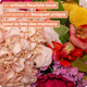 Bouquet du fleuriste Fête des Mères
